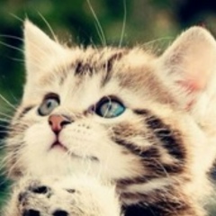 Александр Юр, 07.02.1987