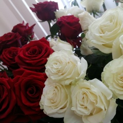 Вероника Ахметзянова, 08.06.1981, Екатеринбург