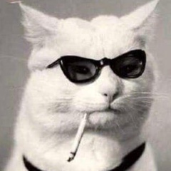 Dmitriy Starikov, 16.08, Санкт-Петербург