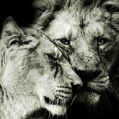 Soslan Chochiev, 30.01