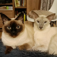 Андрей Фёдоров, 30.08, Санкт-Петербург