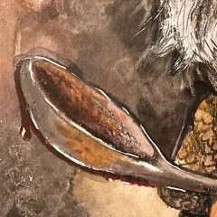 Артем Шапошников, 01.12.1982, Санкт-Петербург