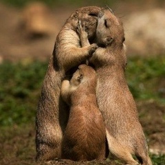 Маша Женина, 11.06