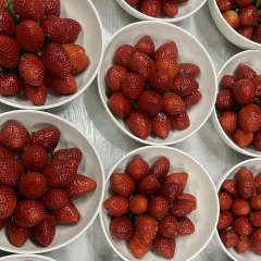 Марсель Ибрагимов, Москва