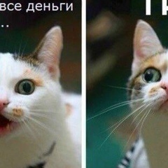 Мадина Расуева