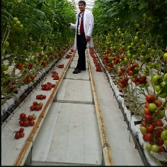 Zaur Selim, 25.02.1982, Билясувар