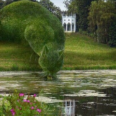 Акерке Амантаева, 07.07.1987, Сарыагаш