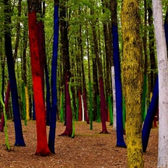 Lola Will, 21.12, Санкт-Петербург