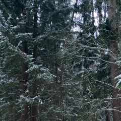 Николай Демко, 02.01.1956, Москва
