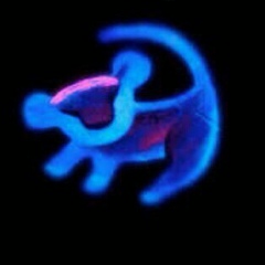 Нурсеит Сапарбеков, Астана