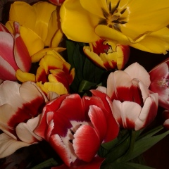 Алена Долгалева, 08.10.1989, Алматы