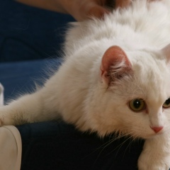 Александра Егорова, 19.04, Новосибирск