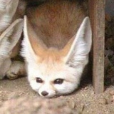 Виктор Bell, 07.09