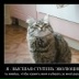 Sadas Sadasd, Москва