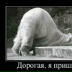 Василь Иванов, Киев