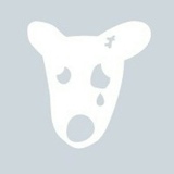 Александр Кас, 08.10