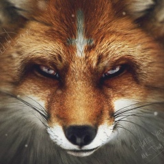 Ирина Лисица, 11.08.1991