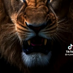 Света Загребин, 27.02.1979, Астана