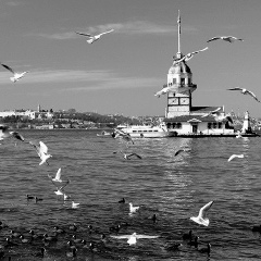 Ерболат Рахметов, 04.08.1991, İstanbul