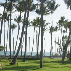 Андрей Репьёв, 25.03, Одесса