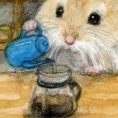 Ярослав Сулима, 06.06.1989, Астана