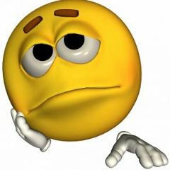 Роман Романовский, 18.05, Житомир