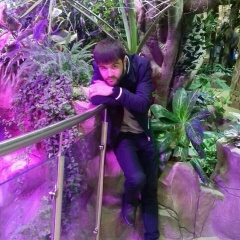 Сардор Мамедов, 01.04.1988, Санкт-Петербург