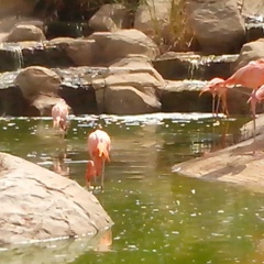 Альбина Бельяминова, 29.04.1983, Челябинск