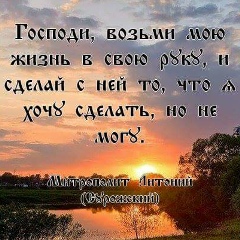 Светлана Сопина, Майкоп