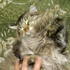 As'ka Taldatovna, 12.02.1995, Астана