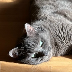 Екатерина Голубева, 15.07, Москва