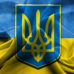 Максим Курило, 12.03, Житомир