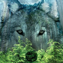 Kairat Iskakov, 24.06, Усть-Каменогорск