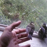 Ivan Tokaryuk, 16.05.1975, Сторожинец