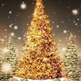 Свырыд Германовыч, 06.01.1985, San Diego