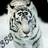 Ринат Валеев, 10.08, Пермь