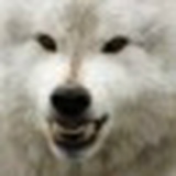 Валерия Арнаутова, 20.11.1987, Харьков