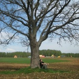 Ednetwork Ah, 11.01, Москва