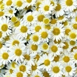 Наталия Приймаченко, 24.04