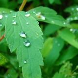 Andriy Divanov, 02.03.1985, Одесса