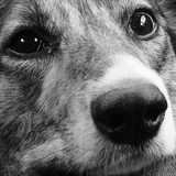 Карлен Асликян, 10.08.1987