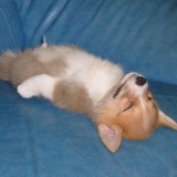 Димка Носов, 19.11, Москва