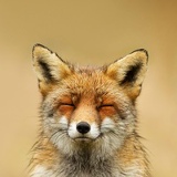 Всеволод Остахнович, 18.01.1987, Москва