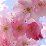 Анастасия Хисяметдинова, 16.01.1986, Казань