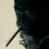 Дмитрий Сигунов, 13.05.1989, Санкт-Петербург