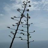 Veronika Guborevich, 21.10.1973, Рига