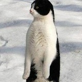 Михаил Володин