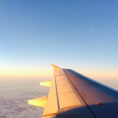 Оля Керханиди