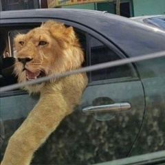 Давид Давоян, 04.10, Краснодар