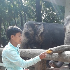 Ko-Hla-Win Tun, 10.06.1981